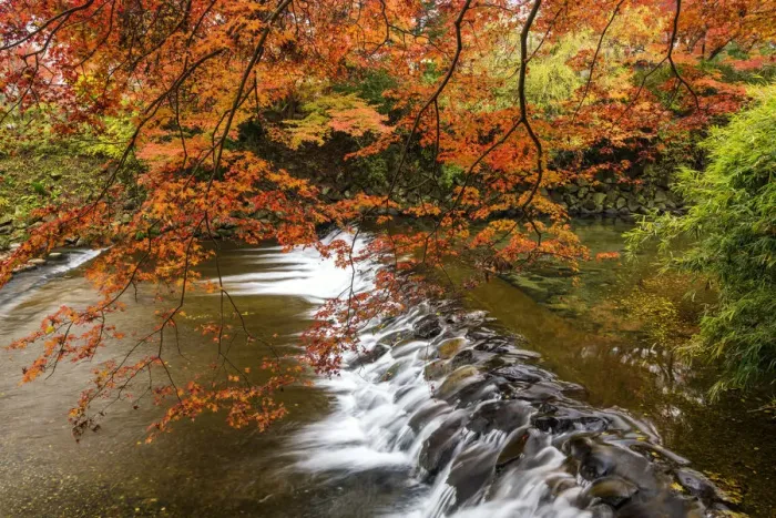 Framed Print : Takano River in Autumn, Kyoto, Japan