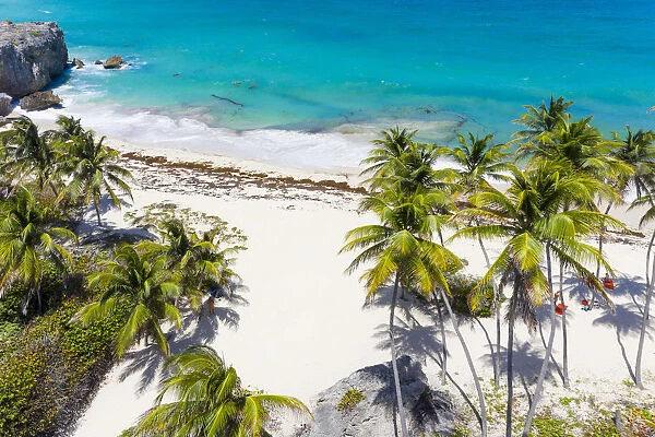 Tall palm trees lean over the white sands of Bottom Bay beach, in Barbados