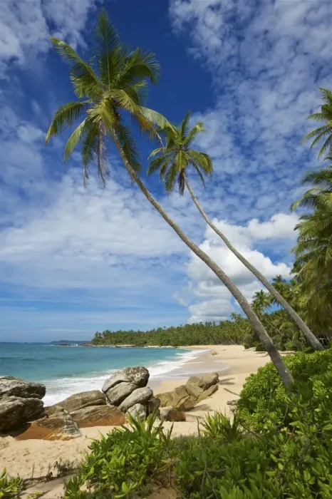 Framed Print : Tangalle Beach, Sri Lanka Framed Print : Tangalle Beach, Sri Lanka