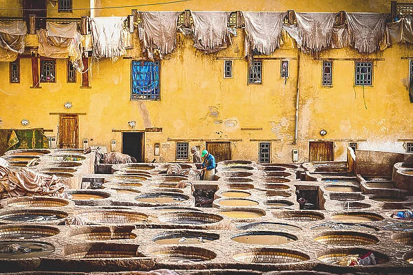 Tanned animal skins hanging to dry in the old tannery of Fez, Morocco