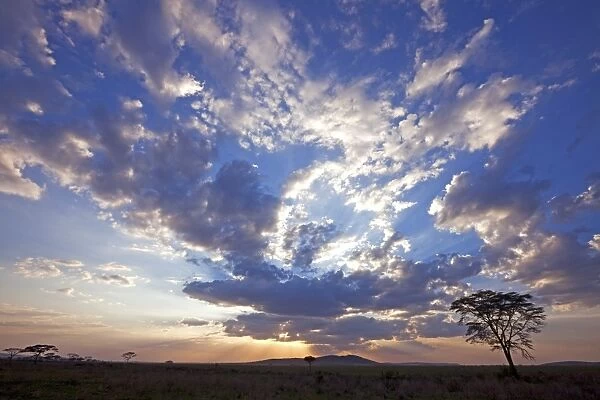 Tanzania, Serengeti. A stunning sunset over the Serengeti plains, near Seronera