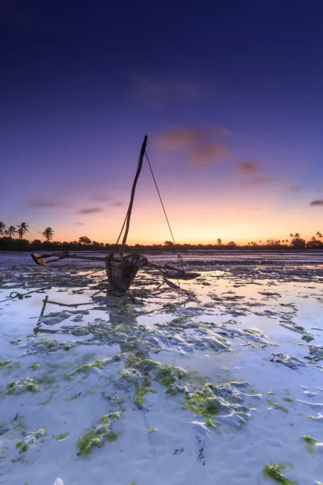 Framed Print : Tanzania. Zanzibar, Jambiani Beach, Dhow (traditional imbarcation) exposed at low tide