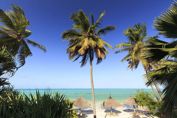 Tanzania. Zanzibar, Paje, beach