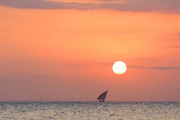 Tanzania. Zanzibar, Stone Town, Old Town, Dhow (traditional sailboat) sailing at sunset