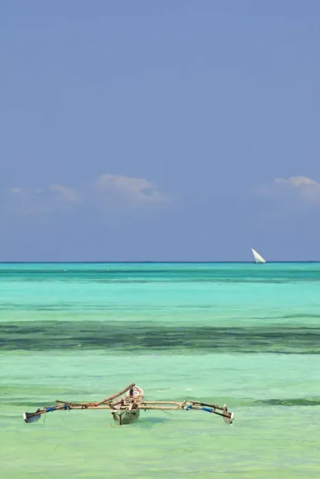 Framed Print : Tanzania, Zanzibar, Unguja, Jambiani. A traditional dhow moored near the shore