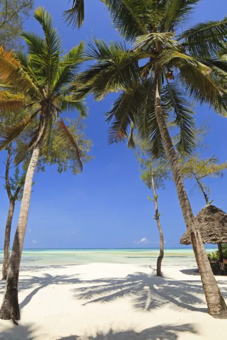 Framed Print : Tanzania, Zanzibar, Unguja, Pongwe. The view out so sea from the Pongwe Beach Hotel
