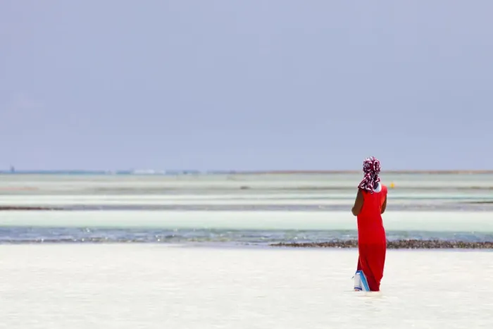 Framed Print : Tanzania, Zanzibar, Unguja, Pongwe. A lady looks out to sea Framed Print : Tanzania, Zanzibar, Unguja, Pongwe. A lady looks out to sea