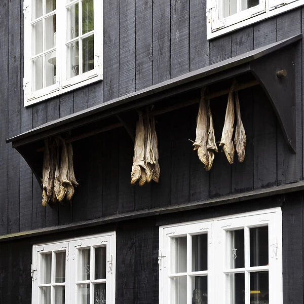 Taorshavn, Faroe Islands, Europe. Dry codfish out of a typical house