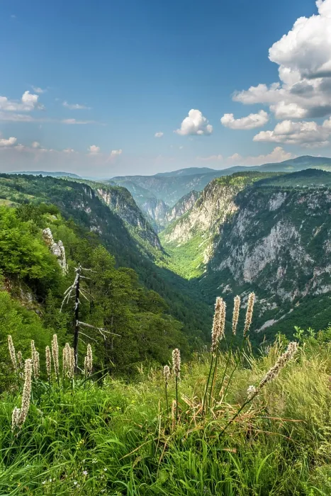 Framed Print : Tara Canyon, Durmitor National Park, Montenegro Framed Print : Tara Canyon, Durmitor National Park, Montenegro