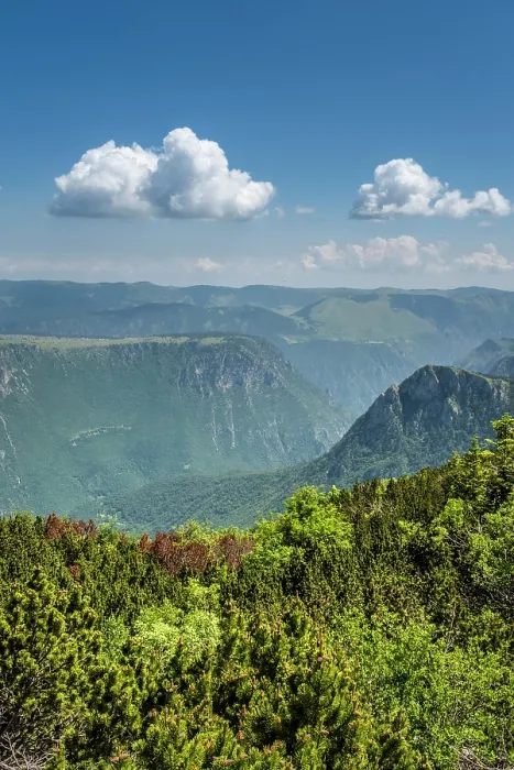 Framed Print : Tara Canyon, Durmitor National Park, Montenegro Framed Print : Tara Canyon, Durmitor National Park, Montenegro