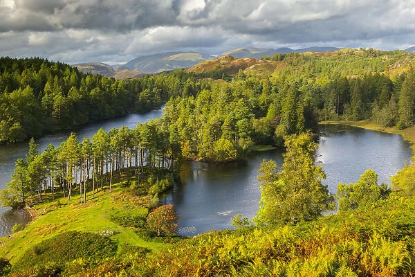 Tarn Hows in the Lake District, Cumbria, England