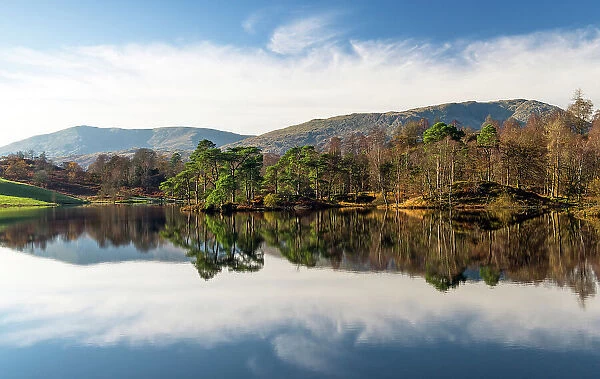 Tarn Hows reflections, Lake District National Park, Cumbria, England
