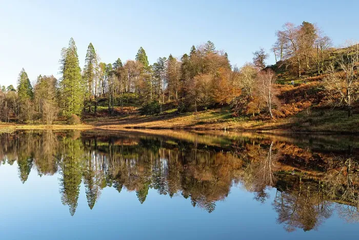 Framed Print : Tarn Hows reflections, Lake District National Park, Cumbria, England Framed Print : Tarn Hows reflections, Lake District National Park, Cumbria, England