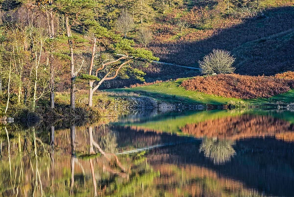Tarn How Reflections in Autumn, Lake District National Park, Cumbria, England