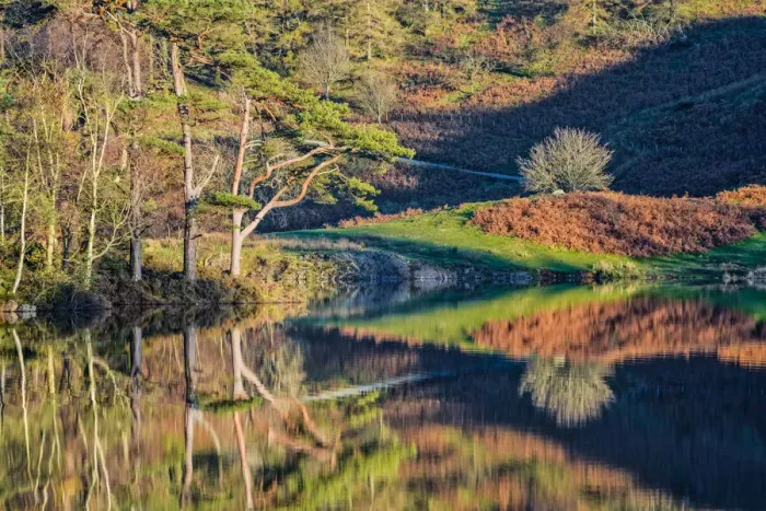 Framed Print : Tarn How Reflections in Autumn, Lake District National Park, Cumbria, England Framed Print : Tarn How Reflections in Autumn, Lake District National Park, Cumbria, England