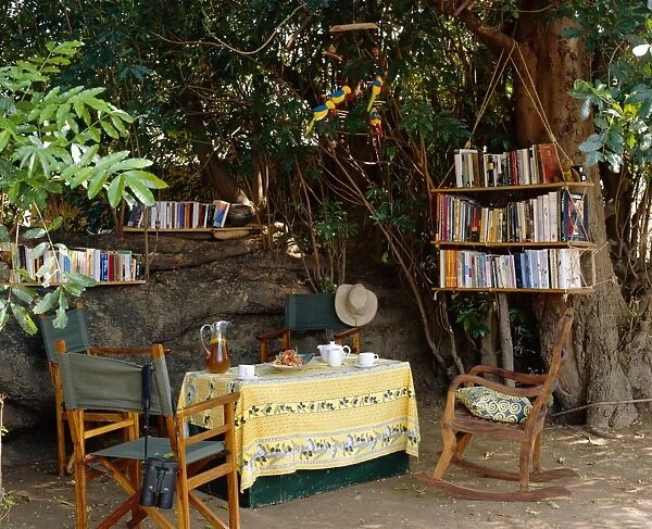 Tea in the library under the shade of a large mahogany