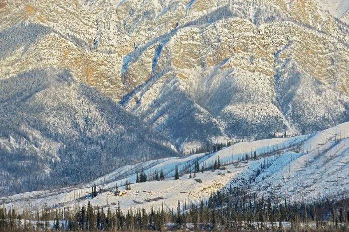 Framed Print : Detail of teh Miette Range pf the Canadian Rocky Mountains looking south from Talbot Lake, Old burn from the Syncline Ridge, Jasper National Park, Alberta, Canada Framed Print : Detail of teh Miette Range pf the Canadian Rocky Mountains looking south from Talbot Lake, Old burn from the Syncline Ridge, Jasper National Park, Alberta, Canada