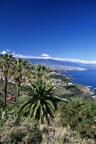 Teide, Orotava Valley, Tenerife, Canary Islands, Spain (MR)