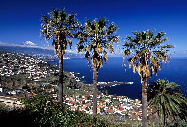 Teide, Orotava valley, Tenerife, Canary islands, Spain