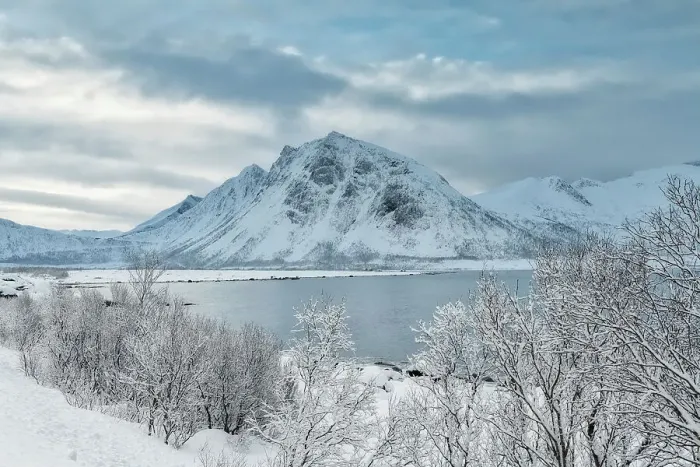 Framed Print : Teistevika in Winter, Senja, Norway