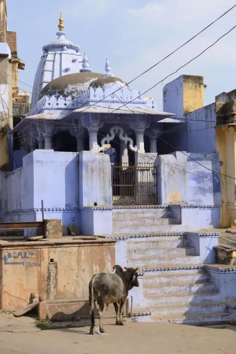 Framed Print : A temple in the City of Bundi, Rajasthan, India, Asia Framed Print : A temple in the City of Bundi, Rajasthan, India, Asia