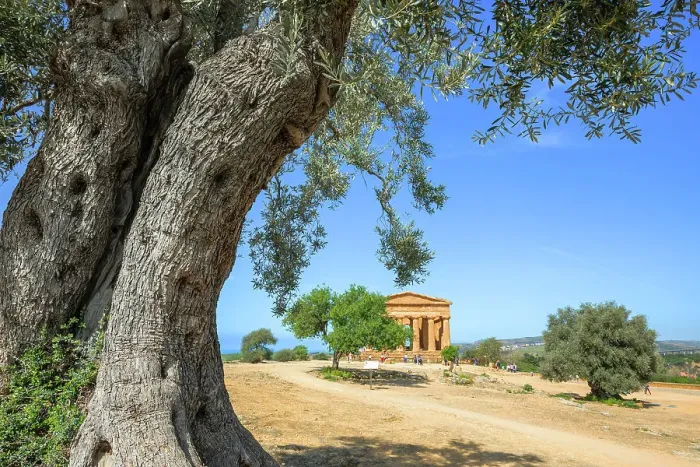 Framed Print : Temple of Concordia, Valley of Temples, Agrigento, Sicily, Italy Framed Print : Temple of Concordia, Valley of Temples, Agrigento, Sicily, Italy