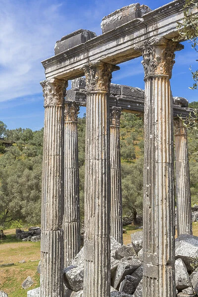 Temple of Zeus Lepsinos, Euromus, Mugla Province, Turkey
