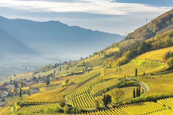 Termeno  /  Tramin, province of Bolzano, South Tyrol, Italy, Europe