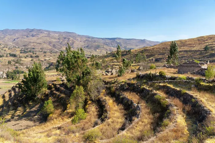 Framed Print : Terraced fields at archaeological site Uyo Uyo, Canyon Colca, Yanque District, Caylloma Province, Arequipa Region, Peru