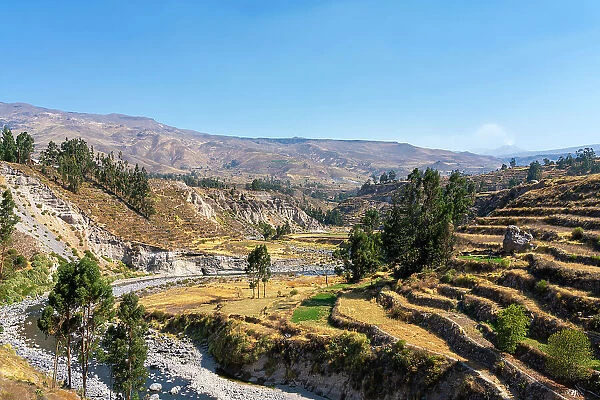 Terraced fields and Colca River at Canyon Colca, Yanque District, Caylloma Province, Arequipa Region, Peru