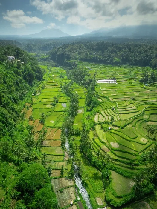 Framed Print : Terraced rice fields & Mount Agung volcano (highest mountain in Bali) Bali, Indonesia Framed Print : Terraced rice fields & Mount Agung volcano (highest mountain in Bali) Bali, Indonesia