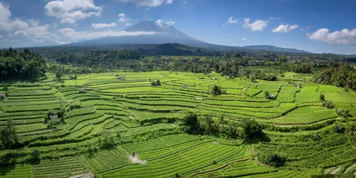 Framed Print : Terraced rice fields & Mount Agung volcano (highest mountain in Bali) Bali, Indonesia Framed Print : Terraced rice fields & Mount Agung volcano (highest mountain in Bali) Bali, Indonesia
