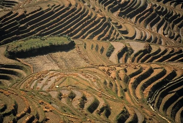 Terraced Ricefields, Longsheng, Guangxi Province, China