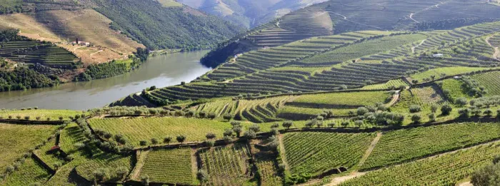 Framed Print : Terraced vineyards in Chanceleiros, Douro region, a Unesco World heritage site. Portugal Framed Print : Terraced vineyards in Chanceleiros, Douro region, a Unesco World heritage site. Portugal