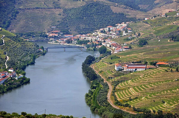Terraced vineyards in the Douro region, a Unesco World heritage site. Portugal