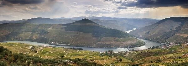 Terraced vineyards along the Douro river and Pinhao. Alto Douro, a Unesco World Heritage Site