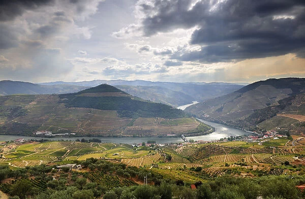 Terraced vineyards along the Douro river and Pinhao