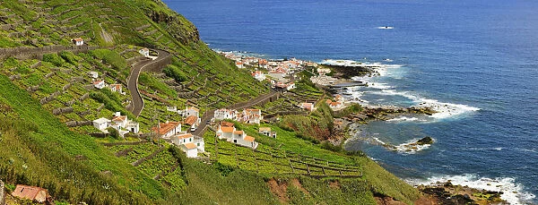 Terraced vineyards at the little town of Maia. Santa Maria, Azores islands, Portugal