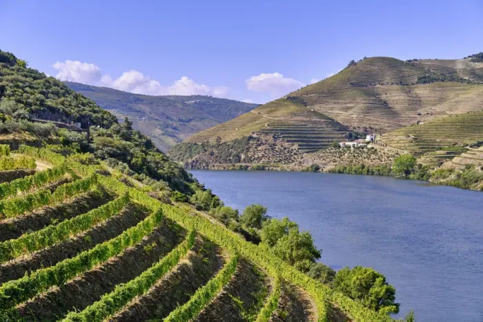 Framed Print : Terraced vineyards and the Quinta da Boavista, a wine producing farm where lived