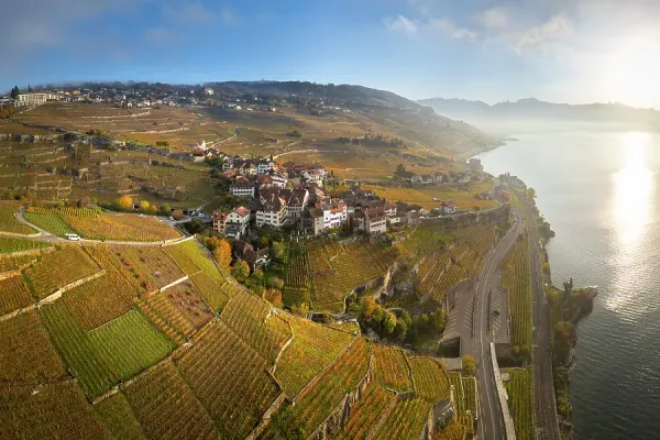 Lavaux Vineyard Terraces AWL Print Of Terrasses De Lavaux