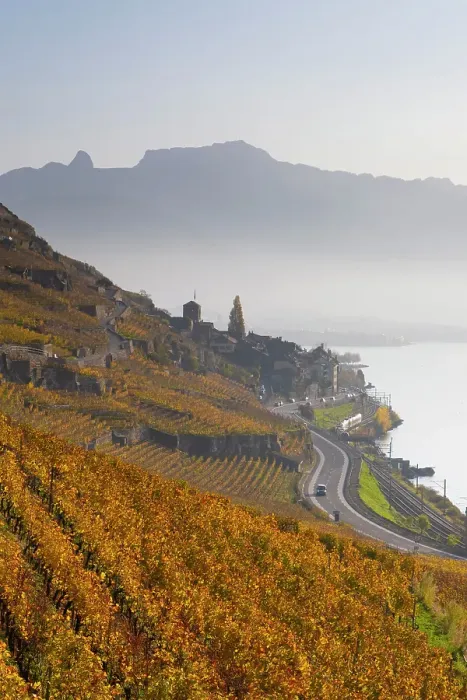 Framed Print : Terrasses de Lavaux Vineyards, Lake Geneva (Lac Leman), Vaud, Switzerland Framed Print : Terrasses de Lavaux Vineyards, Lake Geneva (Lac Leman), Vaud, Switzerland