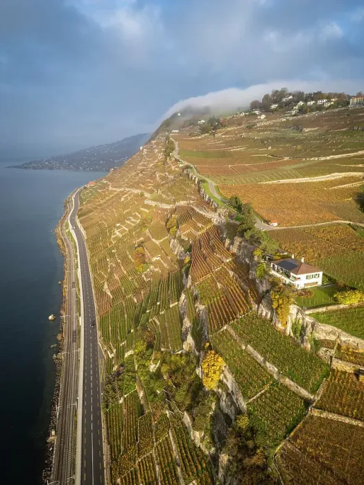 Framed Print : Terrasses de Lavaux Vineyards, Lake Geneva (Lac Leman), Vaud, Switzerland Framed Print : Terrasses de Lavaux Vineyards, Lake Geneva (Lac Leman), Vaud, Switzerland