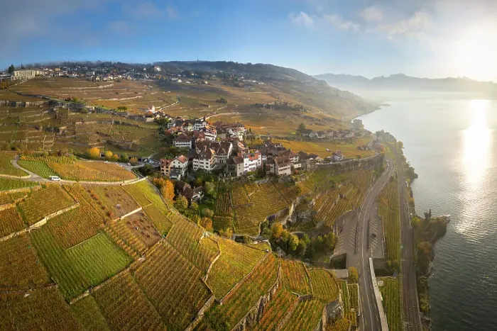 Framed Print : Terrasses de Lavaux Vineyards, Lake Geneva (Lac Leman), Vaud, Switzerland