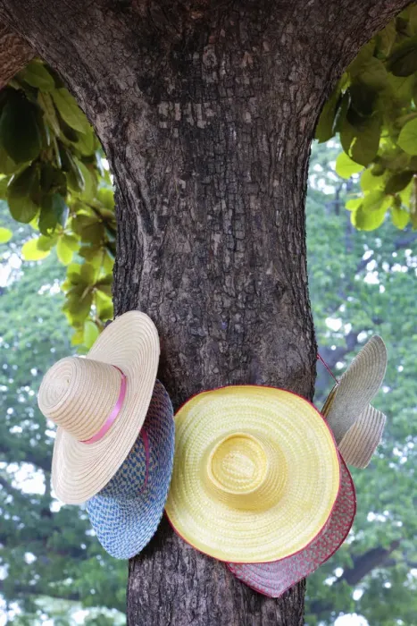 Framed Print : Thailand, Ayutthaya, Wat Chai Watthanaram, Hats hanging from tree