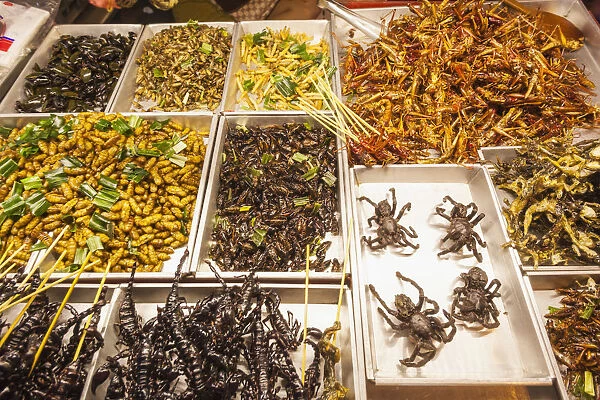 Thailand, Bangkok, Khaosan Road, Vendors Display of Fried Insects