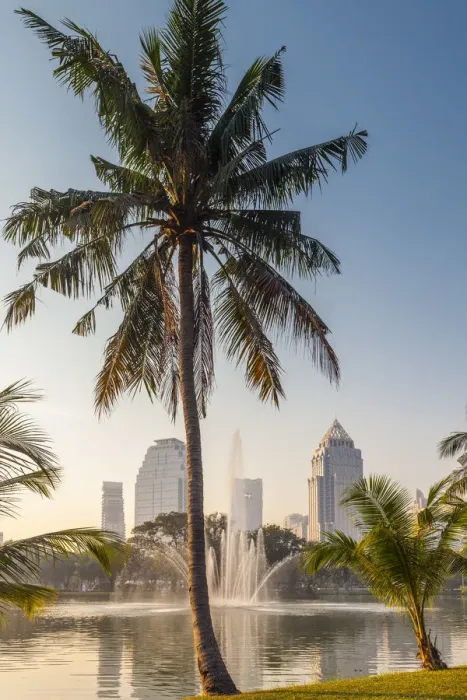Framed Print : Thailand, Bangkok, Lumphini Area, Lumphini Park, city skyline at dawn Framed Print : Thailand, Bangkok, Lumphini Area, Lumphini Park, city skyline at dawn