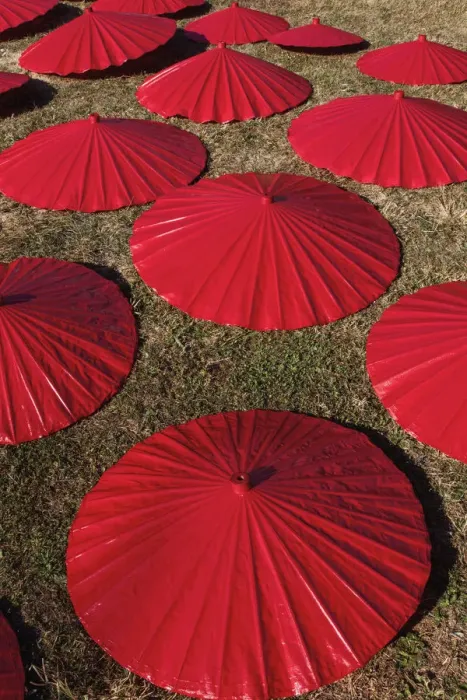Framed Print : Thailand, Chiang Mai, Borsang Umbrella Making Village, Painted Umbrellas Drying Framed Print : Thailand, Chiang Mai, Borsang Umbrella Making Village, Painted Umbrellas Drying