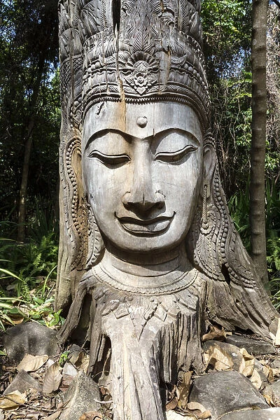 Thailand, Krabi, Ko Phi Phi. Buddha face carved in a tree, Ko Phi Phi Don