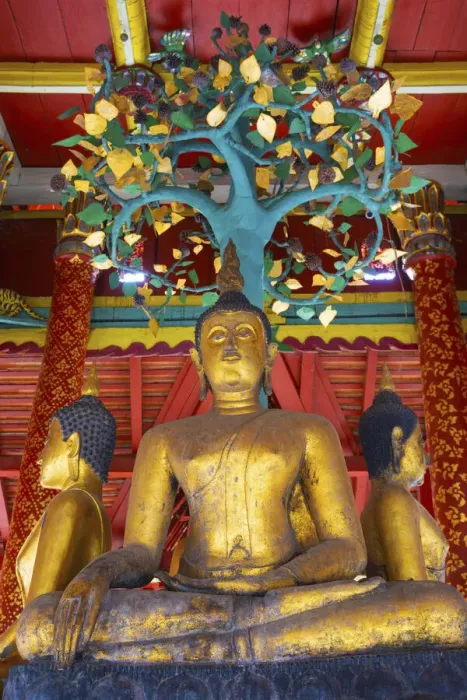 Framed Print : Thailand, Lampang, Wat Pong Sanuk Nua, low view of buddha Framed Print : Thailand, Lampang, Wat Pong Sanuk Nua, low view of buddha