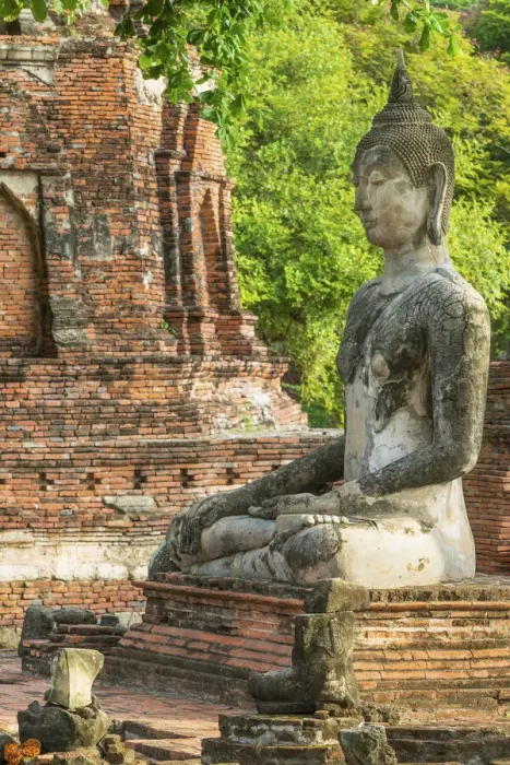 Framed Print : Thailand, Phra Nakhon Si Ayutthaya, Ayutthaya, Wat Mahathat, Buddha amongst ancient ruins. UNESCO World Heritage site